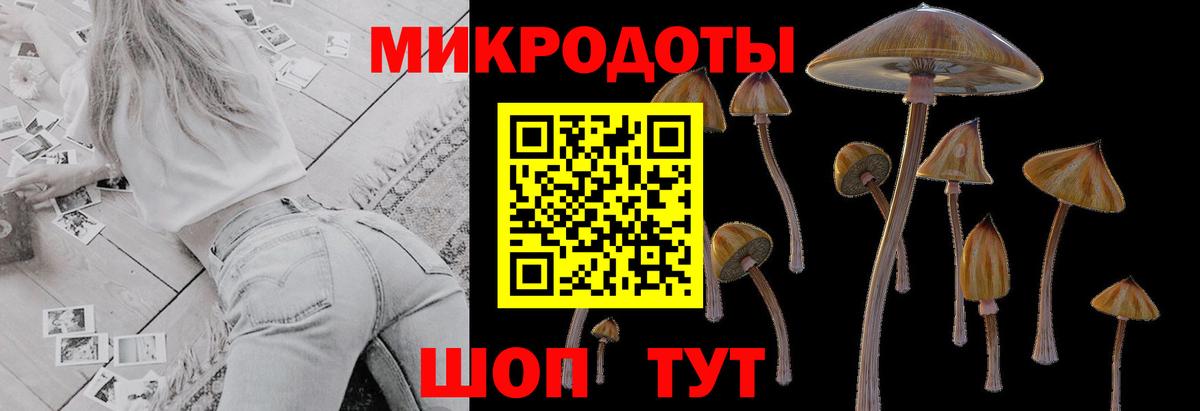 Галлюциногенные грибы Psilocybine cubensis  Вход с VPN  Псилоцибиновые грибы мицелий  Ижевск 